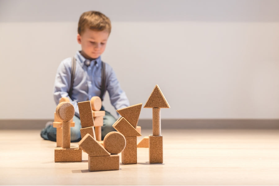 KIT COSTRUZIONI BASIC 2