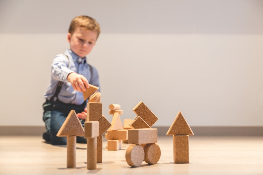 KIT COSTRUZIONI BASIC 2