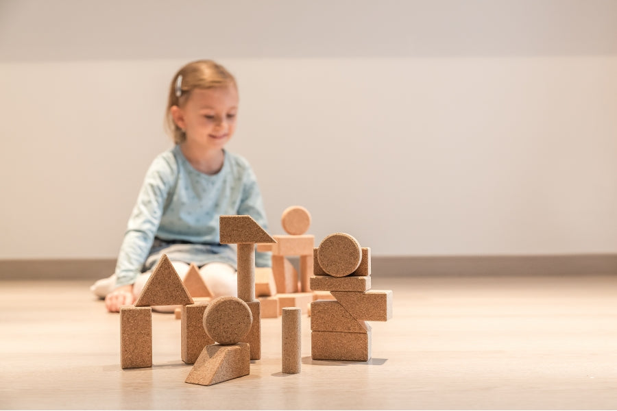 KIT COSTRUZIONI BASIC 2